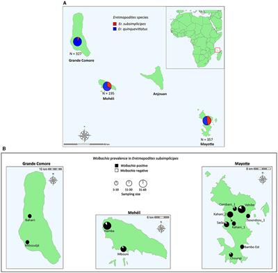 Genetic diversity of endosymbiotic bacteria Wolbachia infecting two mosquito species of the genus Eretmapodites occurring in sympatry in the Comoros archipelago